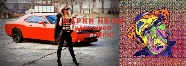 стафф Волосово