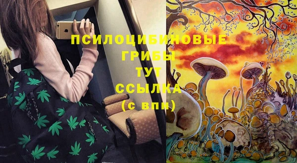 стафф Волосово