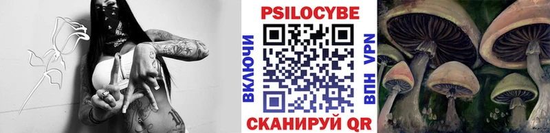 OMG как зайти  Кашин  Псилоцибиновые грибы прущие грибы 